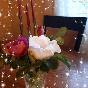 Meet your Posher, Debbie